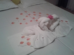 Апартамент Слънчев Бряг